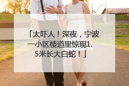 太吓人！深夜，宁波一小区楼道里惊现1.5米长大白蛇！