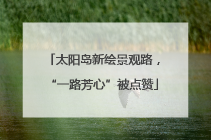 太阳岛新绘景观路，“一路芳心”被点赞