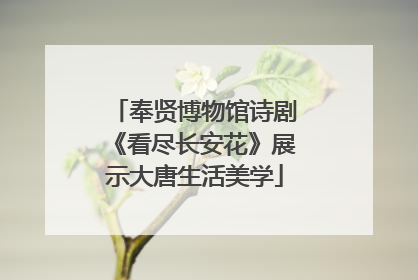 奉贤博物馆诗剧《看尽长安花》展示大唐生活美学
