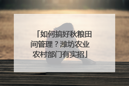 如何搞好秋粮田间管理？潍坊农业农村部门有实招