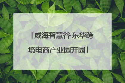 威海智慧谷·东华跨境电商产业园开园