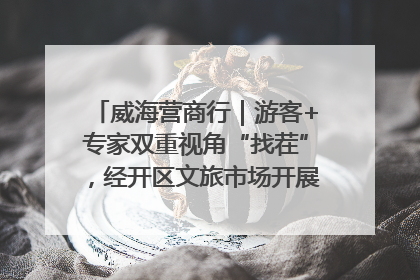 威海营商行｜游客+专家双重视角“找茬”，经开区文旅市场开展暑期前“体检”
