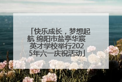 快乐成长，梦想起航 绵阳市盐亭华宸英才学校举行2025年六一庆祝活动