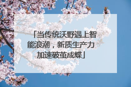 当传统沃野遇上智能浪潮，新质生产力加速破茧成蝶
