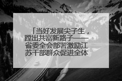 当好发展尖子生，蹚出共富新路子——省委全会部署激励江苏干部群众促进全体人民共同富裕