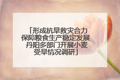 形成抗旱救灾合力 保障粮食生产稳定发展 丹阳多部门开展小麦受旱情况调研