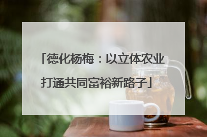 德化杨梅：以立体农业打通共同富裕新路子