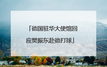 德国驻华大使馆回应樊振东赴德打球