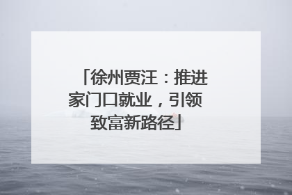 徐州贾汪：推进家门口就业，引领致富新路径