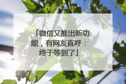 微信又推出新功能，有网友直呼：终于等到了