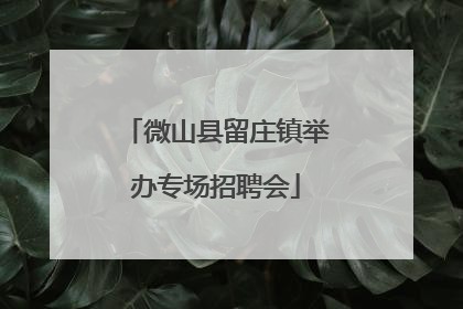 微山县留庄镇举办专场招聘会