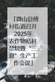 微山县傅村街道召开2025年农作物秸秆禁烧暨“三夏”生产工作会议