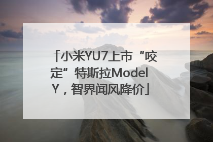 小米YU7上市“咬定”特斯拉Model Y，智界闻风降价