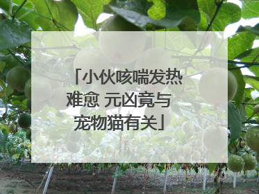 小伙咳喘发热难愈 元凶竟与宠物猫有关