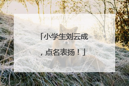 小学生刘云成，点名表扬！