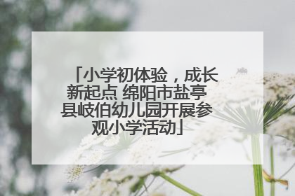 小学初体验，成长新起点 绵阳市盐亭县岐伯幼儿园开展参观小学活动
