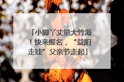 小脚丫丈量大竹海！快来报名，“益阳走娃”父亲节走起