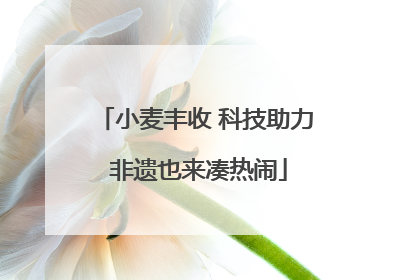 小麦丰收 科技助力 非遗也来凑热闹