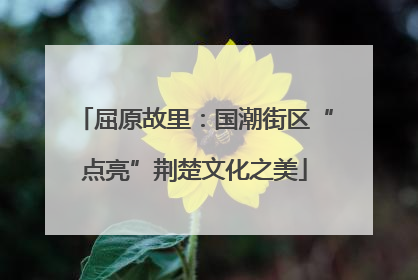屈原故里：国潮街区“点亮”荆楚文化之美