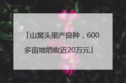 山窝头里产良种，600多亩地增收近20万元