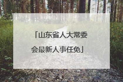 山东省人大常委会最新人事任免