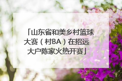 山东省和美乡村篮球大赛（村BA）在招远大户陈家火热开赛