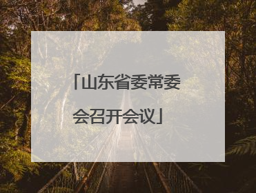 山东省委常委会召开会议