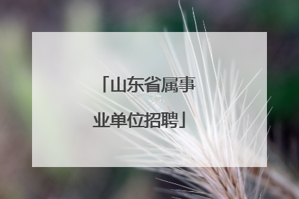 山东省属事业单位招聘