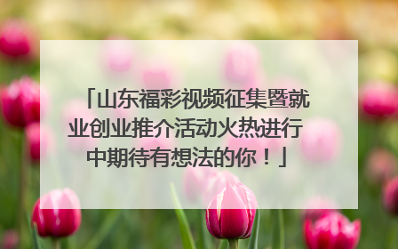 山东福彩视频征集暨就业创业推介活动火热进行中期待有想法的你！