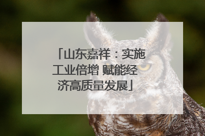 山东嘉祥：实施工业倍增 赋能经济高质量发展