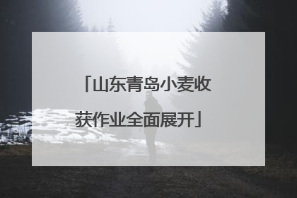 山东青岛小麦收获作业全面展开