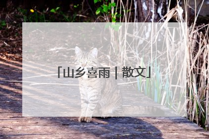 山乡喜雨｜散文