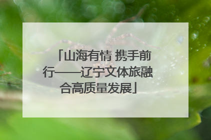 山海有情 携手前行——辽宁文体旅融合高质量发展
