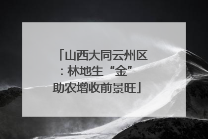 山西大同云州区：林地生“金” 助农增收前景旺