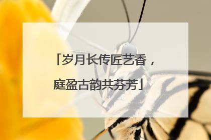 岁月长传匠艺香，庭盈古韵共芬芳
