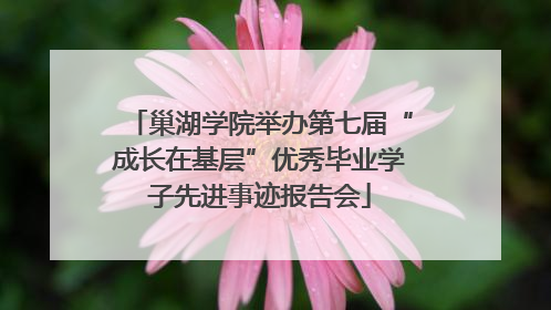 巢湖学院举办第七届“成长在基层”优秀毕业学子先进事迹报告会
