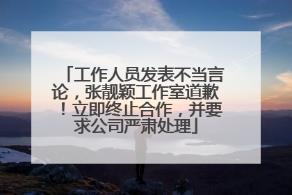 工作人员发表不当言论，张靓颖工作室道歉！立即终止合作，并要求公司严肃处理