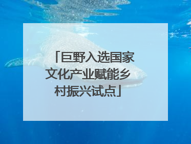 巨野入选国家文化产业赋能乡村振兴试点