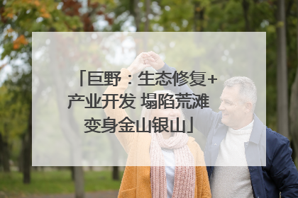 巨野：生态修复+产业开发 塌陷荒滩变身金山银山
