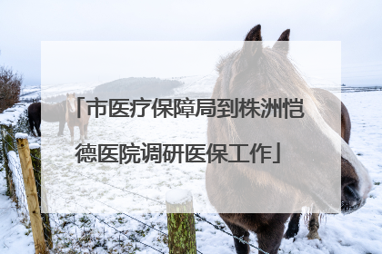市医疗保障局到株洲恺德医院调研医保工作