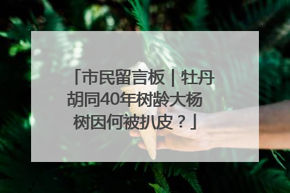 市民留言板｜牡丹胡同40年树龄大杨树因何被扒皮？