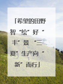 希望的田野智“绘”好“丰”景 “三夏”生产向“新”而行