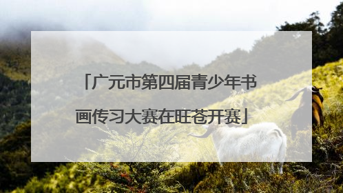 广元市第四届青少年书画传习大赛在旺苍开赛