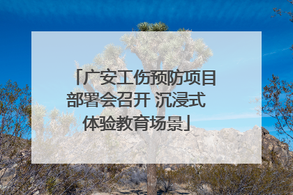 广安工伤预防项目部署会召开 沉浸式体验教育场景