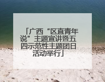 广西“区直青年说”主题宣讲暨五四示范性主题团日活动举行