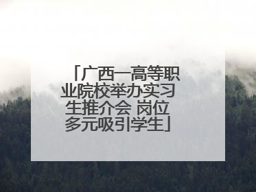 广西一高等职业院校举办实习生推介会 岗位多元吸引学生