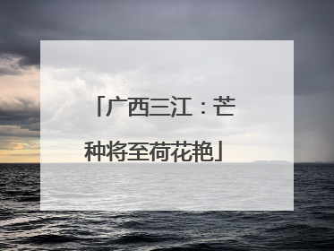广西三江：芒种将至荷花艳