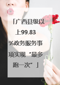 广西县级以上99.83%政务服务事项实现“最多跑一次”