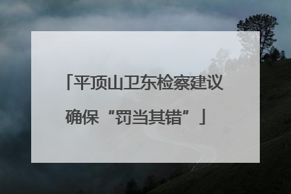 平顶山卫东检察建议确保“罚当其错”
