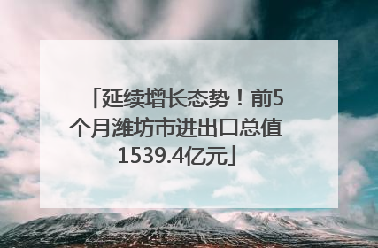 延续增长态势！前5个月潍坊市进出口总值1539.4亿元